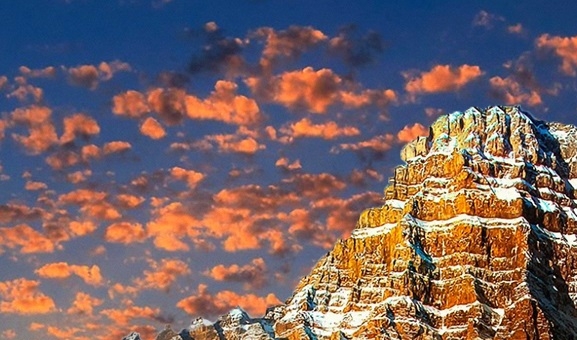 金像a粉b粉的区别