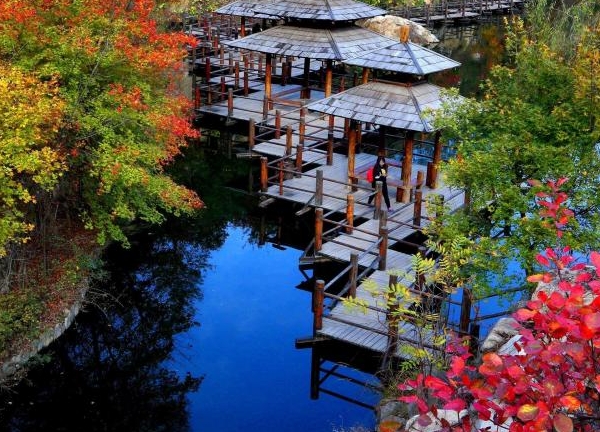 粉象生活怎么赚钱的