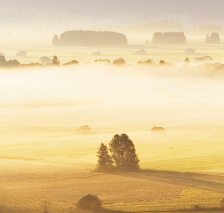 粉象生活手机版怎么买