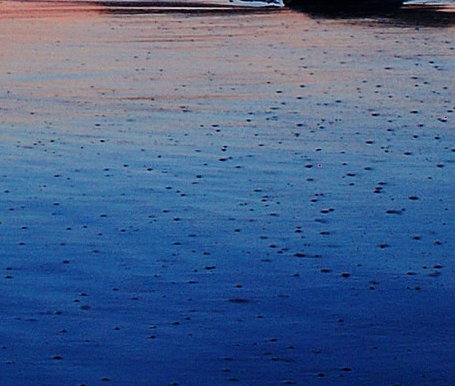 粉象生活赚钱教程