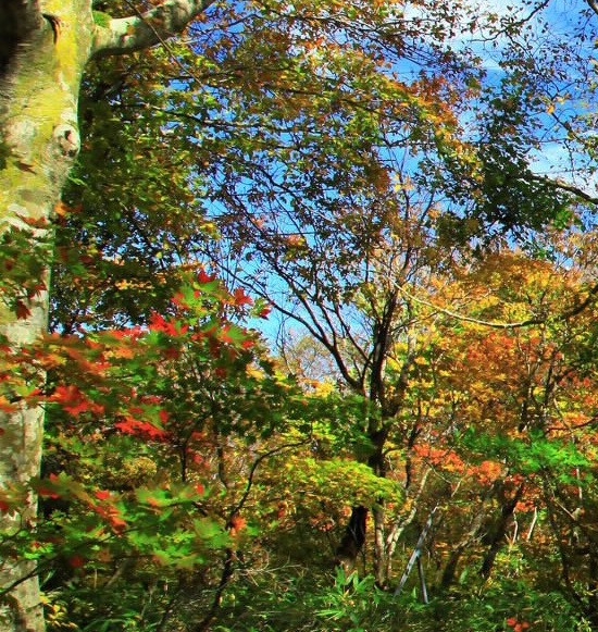 粉象生活不成为VIP会员也可以赚钱吗