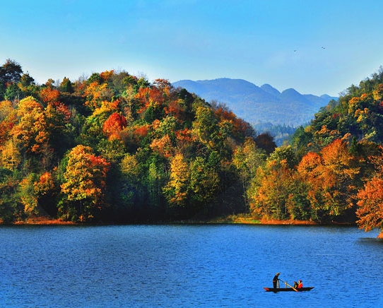 生活护理费怎么申请