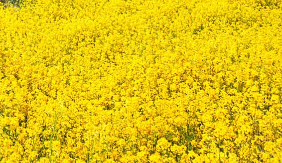 五象一站式生活购物中心