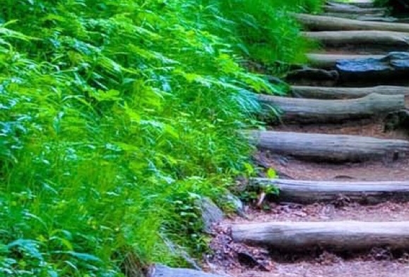 粉象生活订单怎么删除