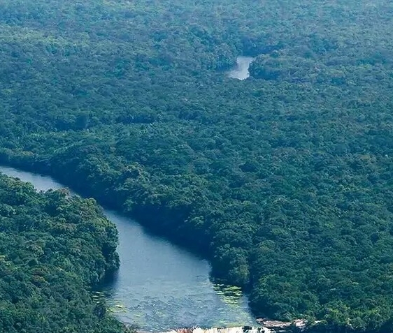 粉象生活分现金页面截图
