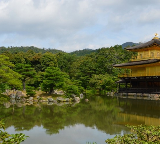 粉象生活app下载安装