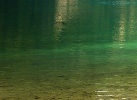 粉象生活创造奇迹