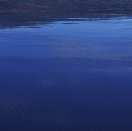 粉象生活邀请码