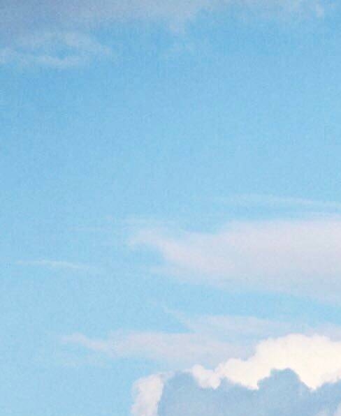 亳州粉象生活代理