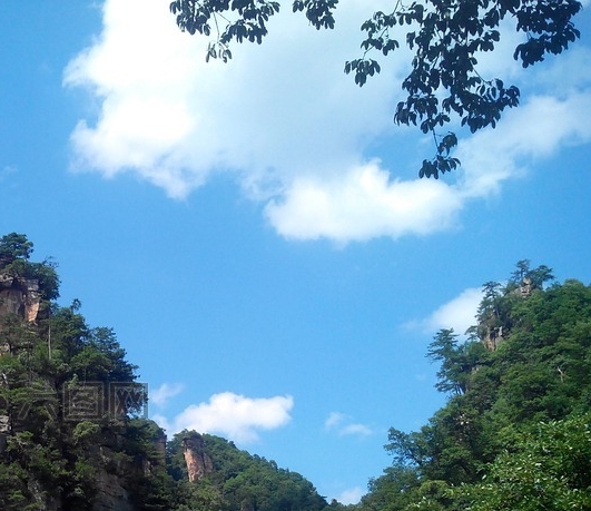 粉象生活加盟代理