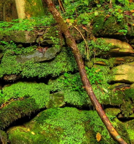 微商粉象生活邀请码