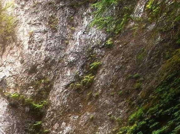 粉象生活赚钱教程