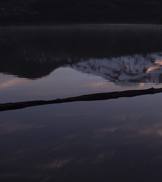 粉象生活商城运营