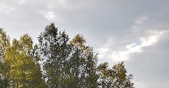 粉象生活的活动怎么找