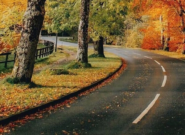 广东粉象生活使用教程