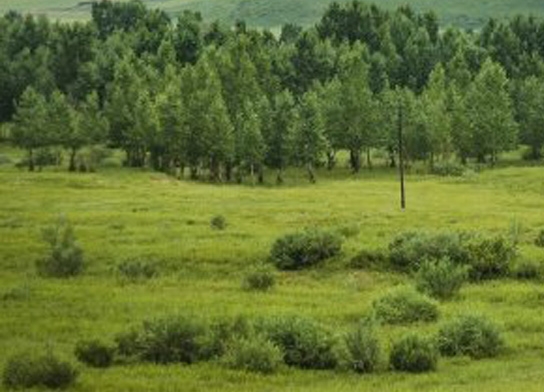 粉象生活怎么赚钱