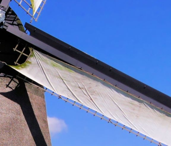 粉象生活下载app