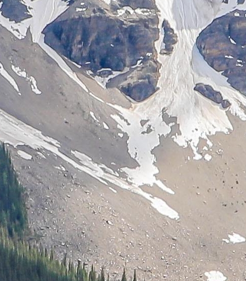 粉象生活是干嘛的