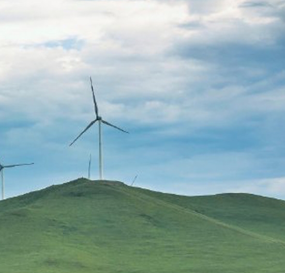 粉象生活是什么?