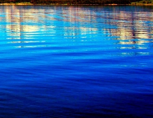 粉象生活做任务有什么用