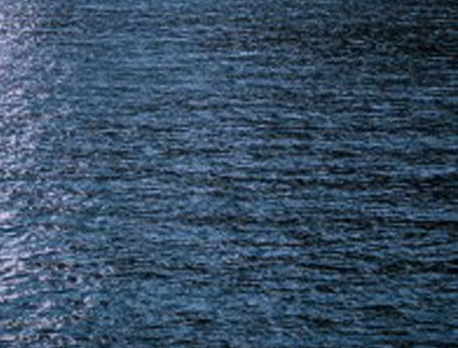 菏泽粉象生活入驻网站地址