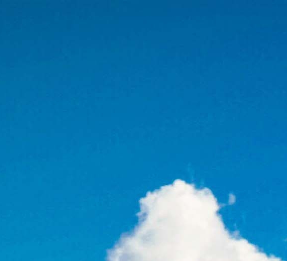 粉象生活是什么?