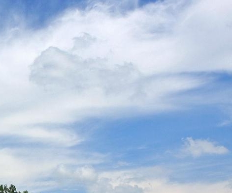 粉象生活可以赚钱吗