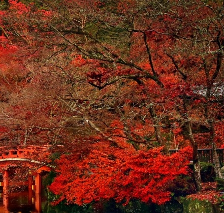 粉象生活怎么快速推广