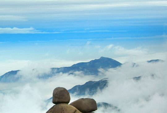 粉象生活害人无数