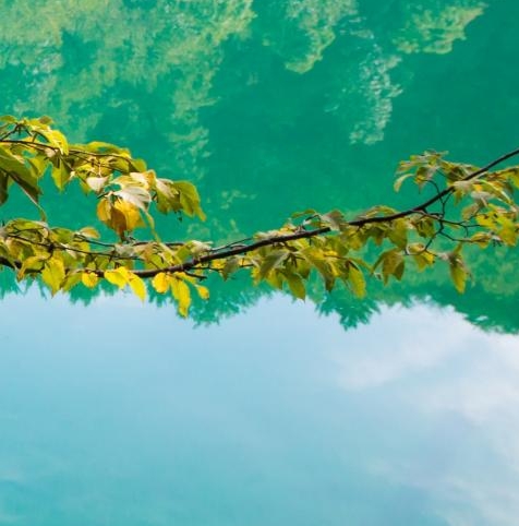 下载粉象生活最新版