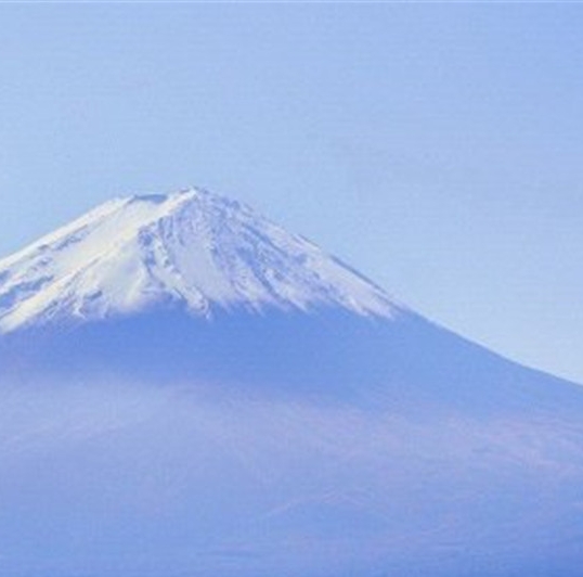 粉象生活是否合法