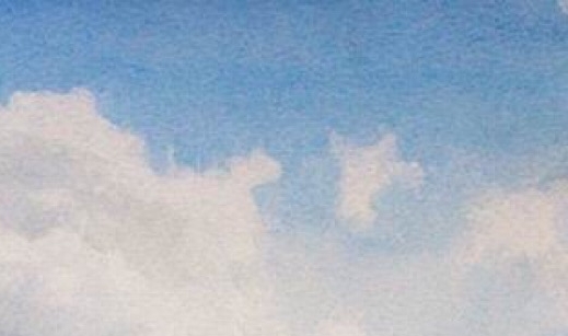 粉象生活一天能赚多少