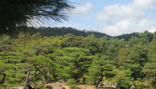 粉象生活淘客推广怎么做