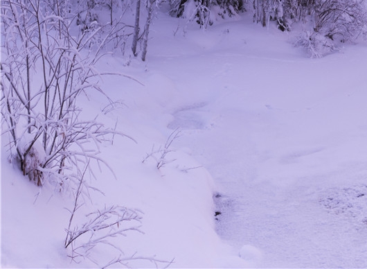 电商粉象生活靠谱吗