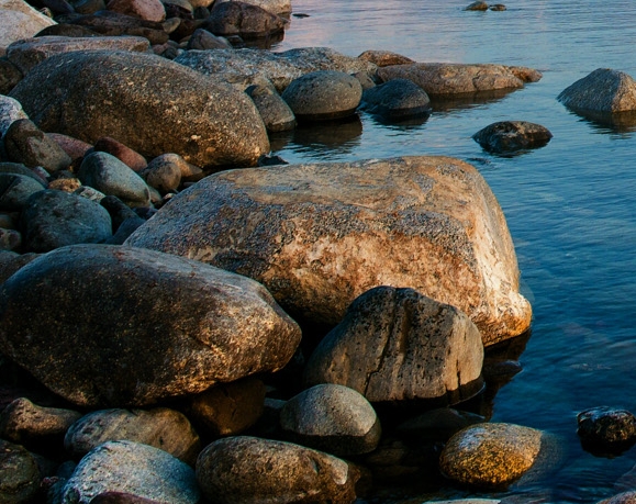 粉象生活怎么申请淘宝客