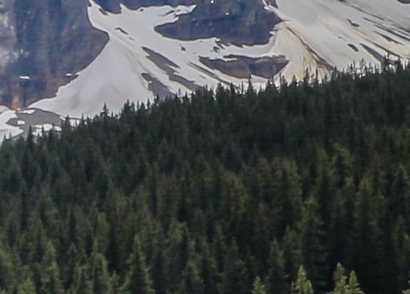 粉象生活怎么注册团队账号