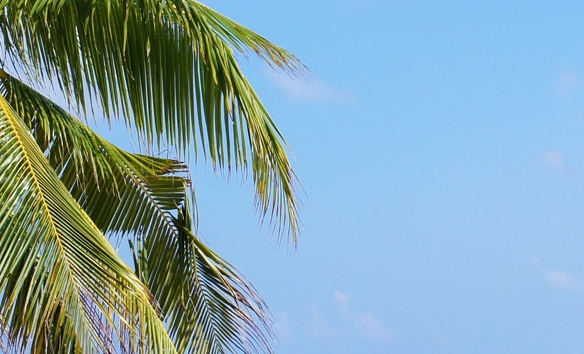 粉象生活制度解析