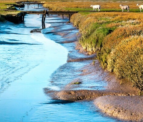 粉象生活怎么盈利