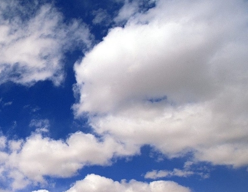 粉象生活怎么赚钱的