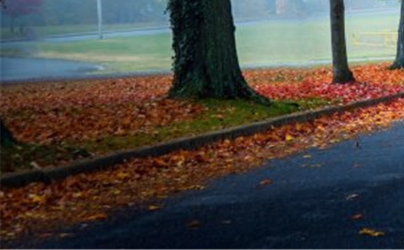 怎么入住百度惠生活