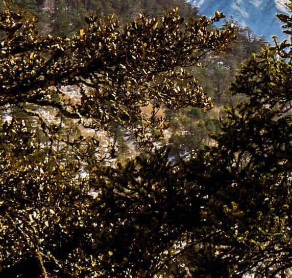 比粉象生活返利还高的软件