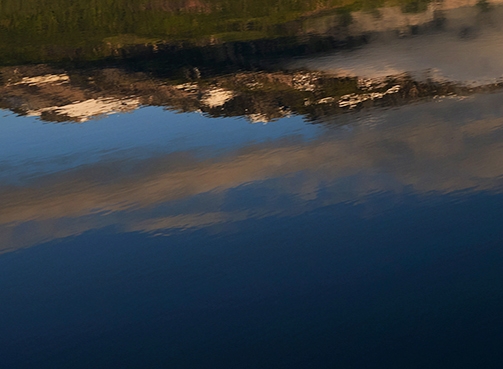 粉象生活是干什么的