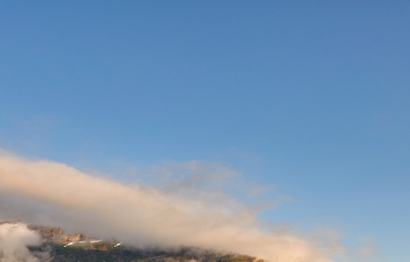 粉象生活和淘宝什么关系