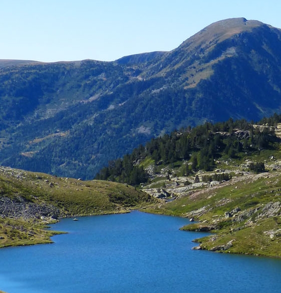 粉象生活是个什么东西