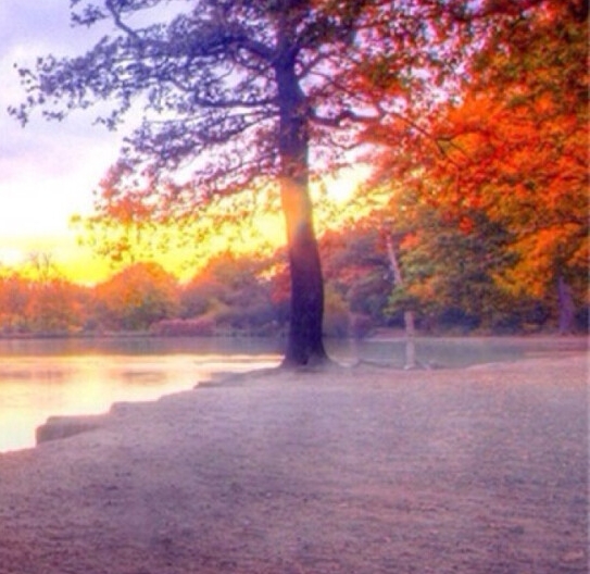 粉象生活是个什么东西