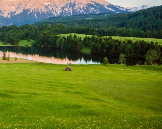 粉象生活如何找优惠券