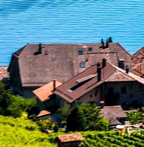 粉象生活会员怎么提现