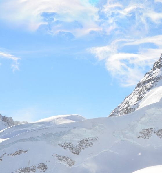 粉象生活的开店费用