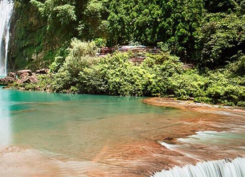 粉象生活主页截图