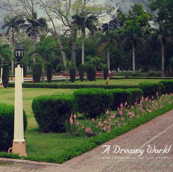 粉象生活下载官方正版